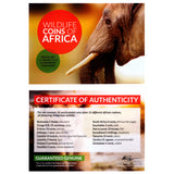 AFRICAN15CNALB(U) Wildlife Coins of Africa: Legal Tender of 15 Different African Nations (Album)