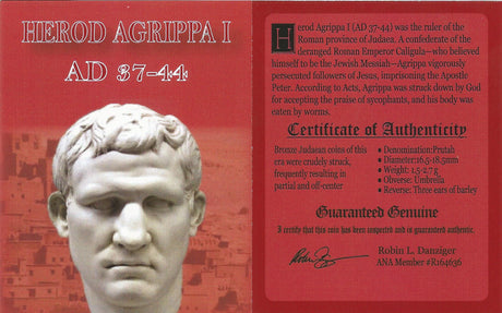 AGRIPPA1ST-NGC(LG) Judaea AE Agrippa 1st (AD 41-44) Prutah NGC(LG)