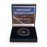 BIBLE-BBOX Ancient Bronze Coin of the Biblical Holy Land (black box) (low grade)