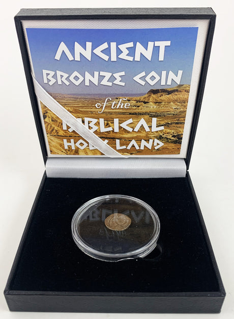 BIBLE-BBOX Ancient Bronze Coin of the Biblical Holy Land (black box) (low grade)