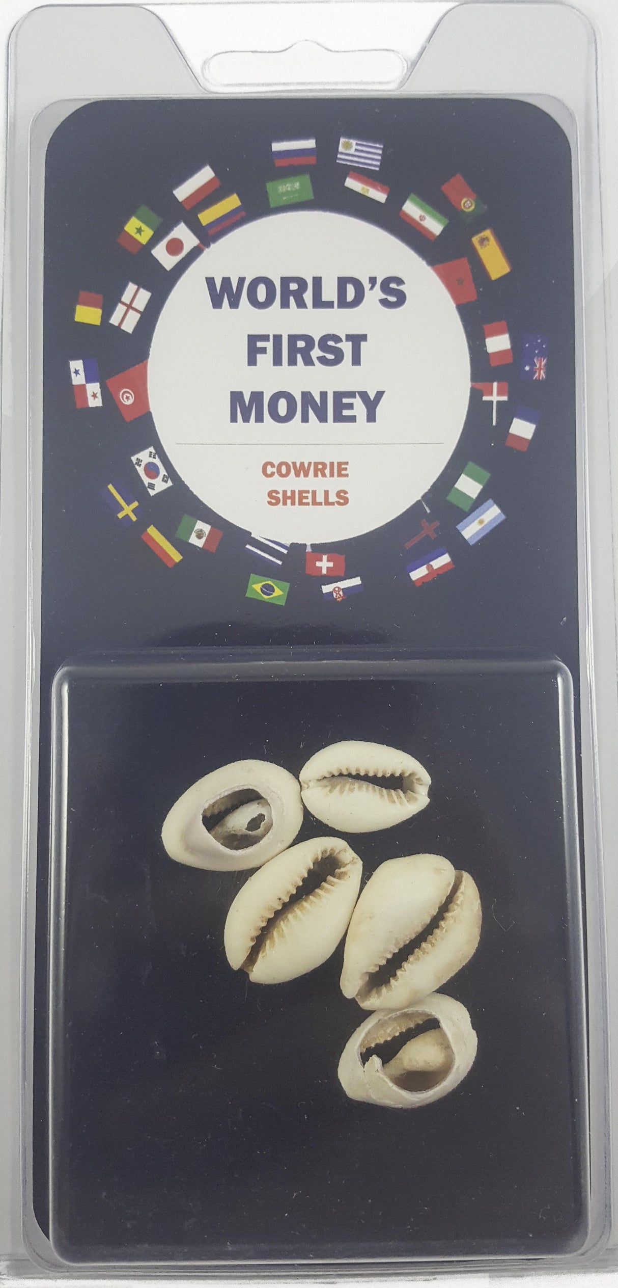 COWRIE5SET World's First Money: Cowrie Shells