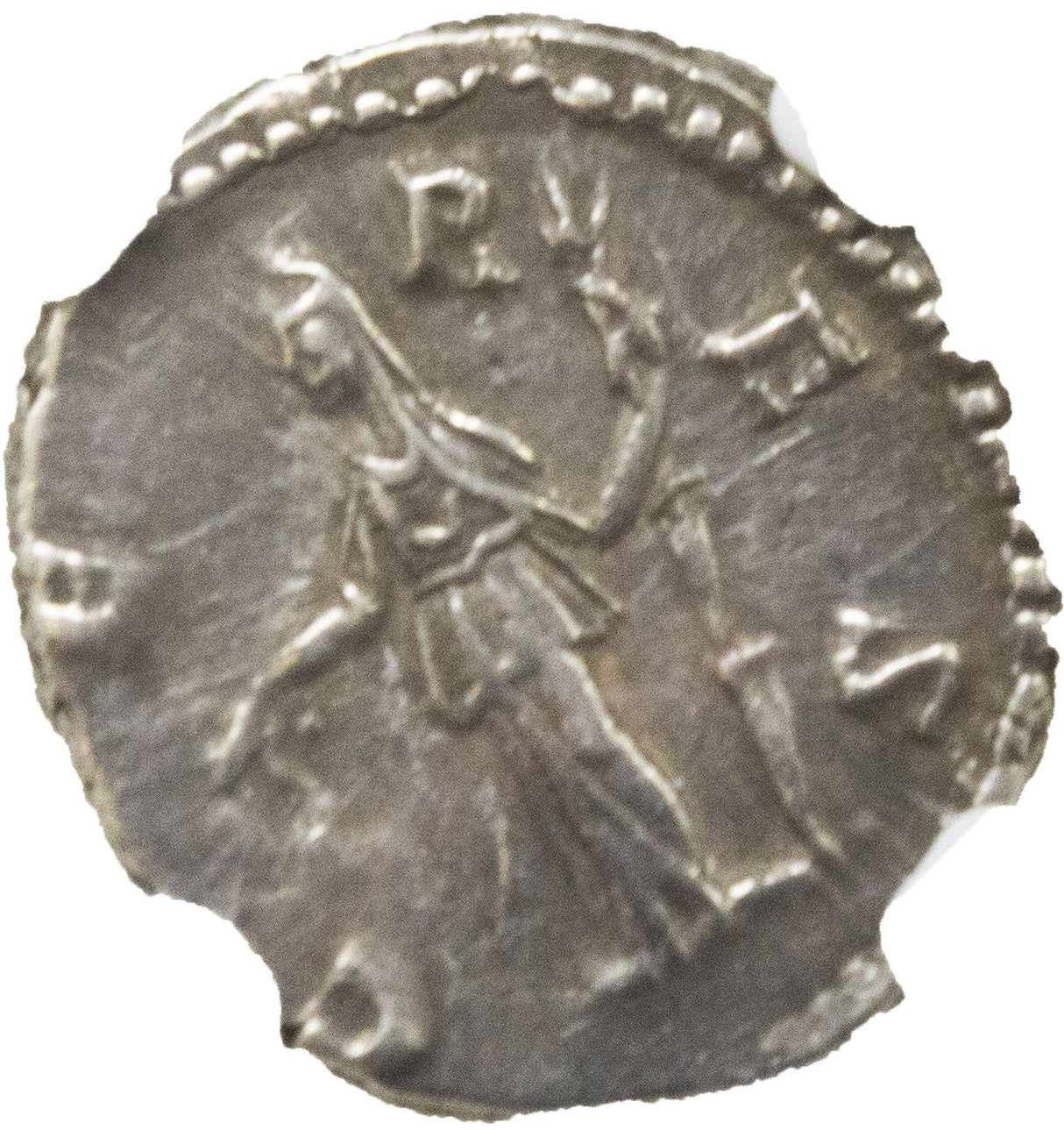 CRISPINA(AR)NGC(VF) Roman Silver Denari of Crispina NGC(VF)