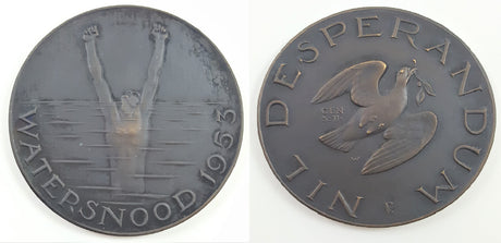 DL2068 Dealer lot of one (1) Dutch medal in memorial of the 1953 North Sea Flood ("Watersnood").(VF)