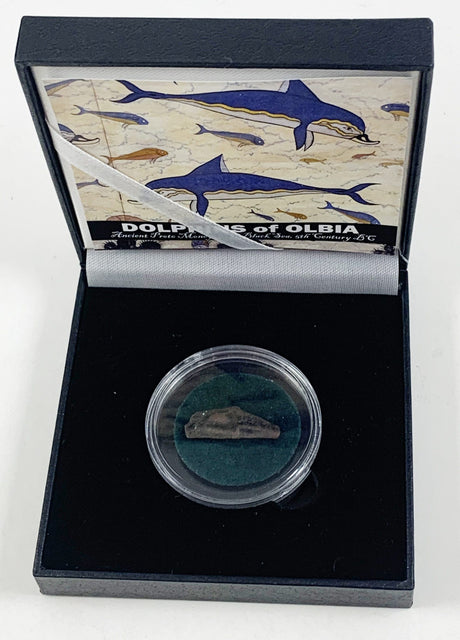 Dolphins of Olbia: Ancient Proto Money of the Black Sea, 5th Century BC (Black Box)