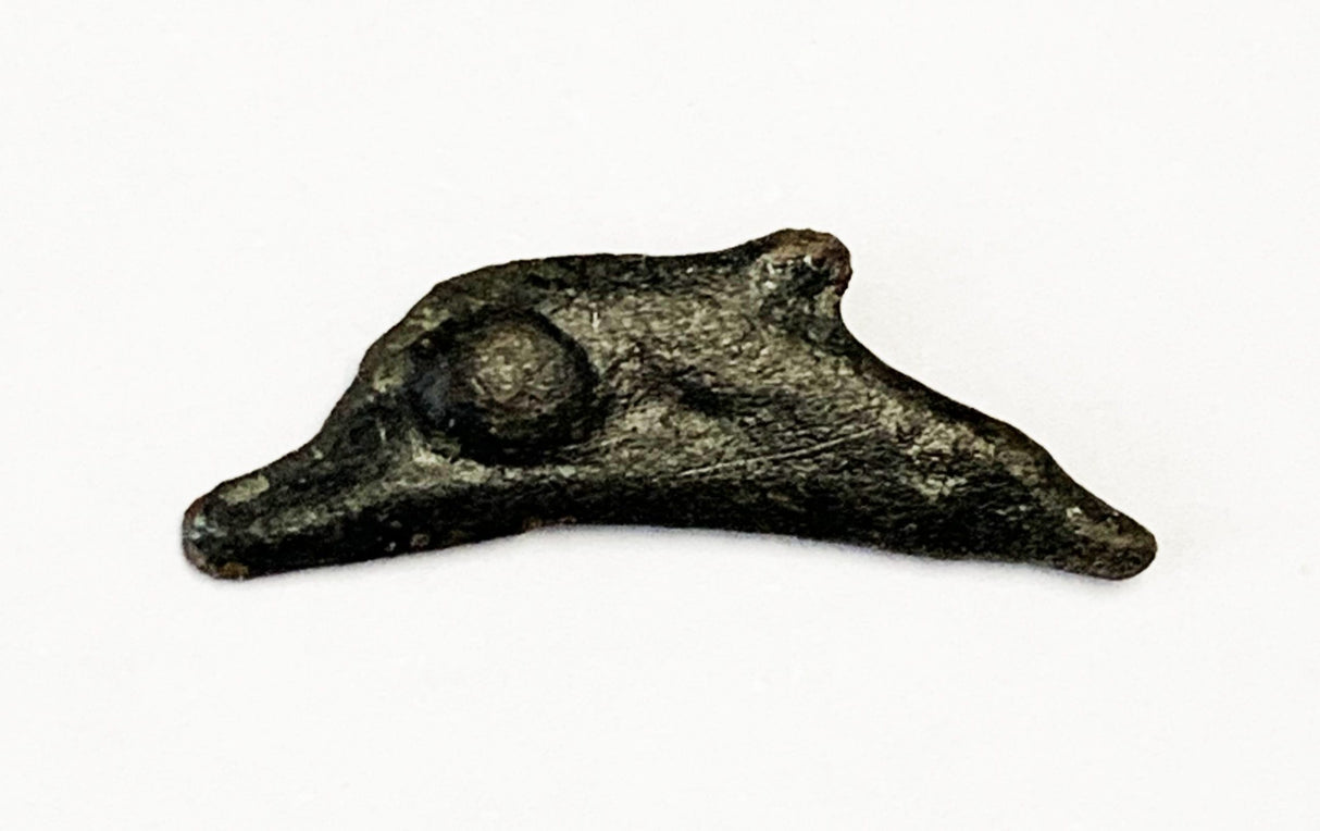 Dolphins of Olbia: Ancient Proto Money of the Black Sea, 5th Century BC (Black Box)