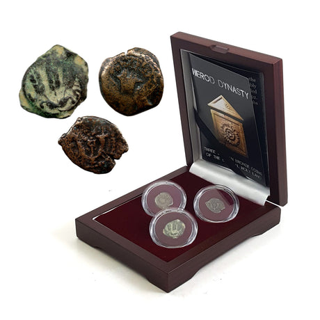 HERODDYN3CNBOX Herod Dynasty: Three Judaean Bronze Coins of the Biblical Holy Land (Three-Coin Box)