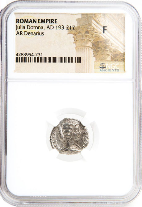 JULIADOMNA(AR)NGC(F) Roman Silver Denarius of Julia Domna (AD193-217) NGC(F)