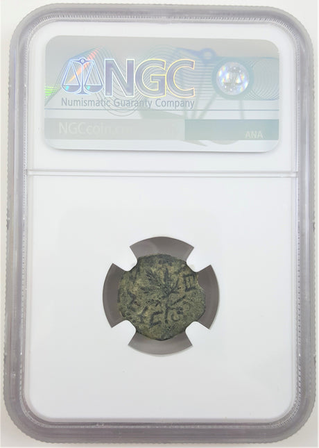 MASADA-NGC(C) Bronze prutah of Judaea during the ill-fated first revolt in NGC slab. 2nd year, AD 67/68.(C)