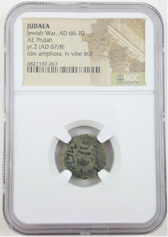 MASADA-NGC(C) Bronze prutah of Judaea during the ill-fated first revolt in NGC slab. 2nd year, AD 67/68.(C)