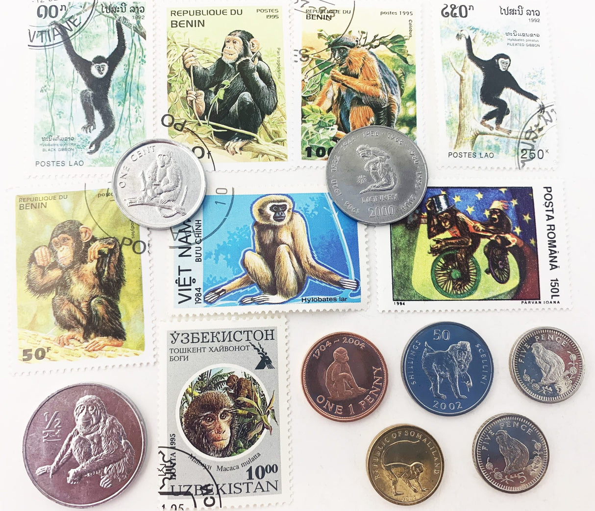 Monkey Money: 8 Coins & 8 Postage Stamps (Clear Box)