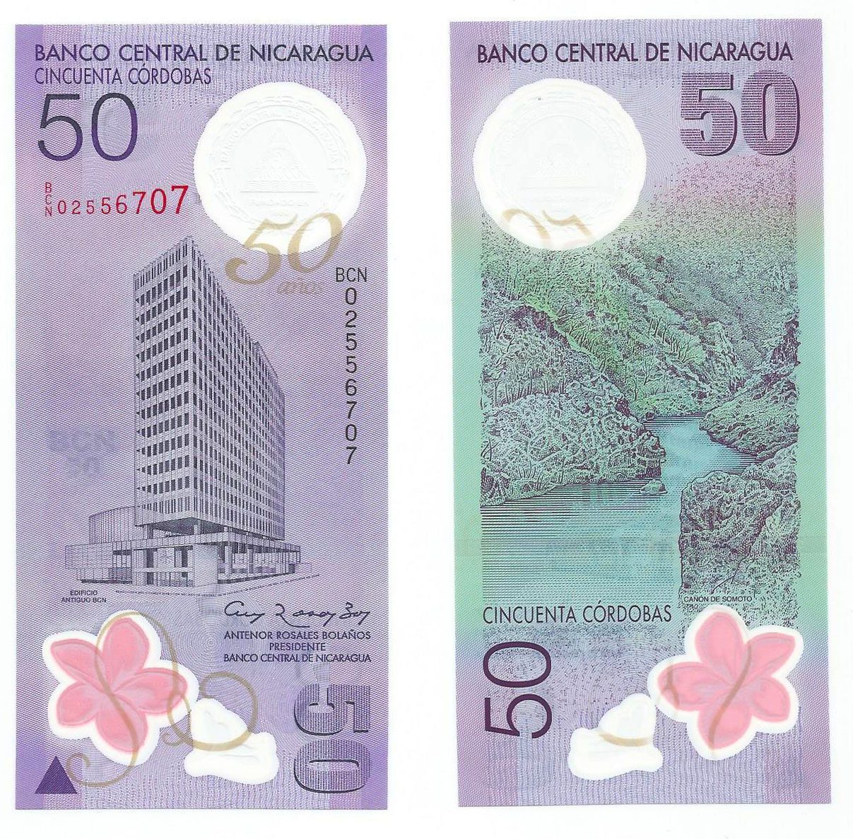 Nicaragua P207(U) 50 Cordobas - Polymer (Plastic)