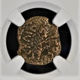 PORCIUSFESTUS-NGC(MG) Judaea AE Porcius Festus (AD 59-62) Prutah NGC(MG)