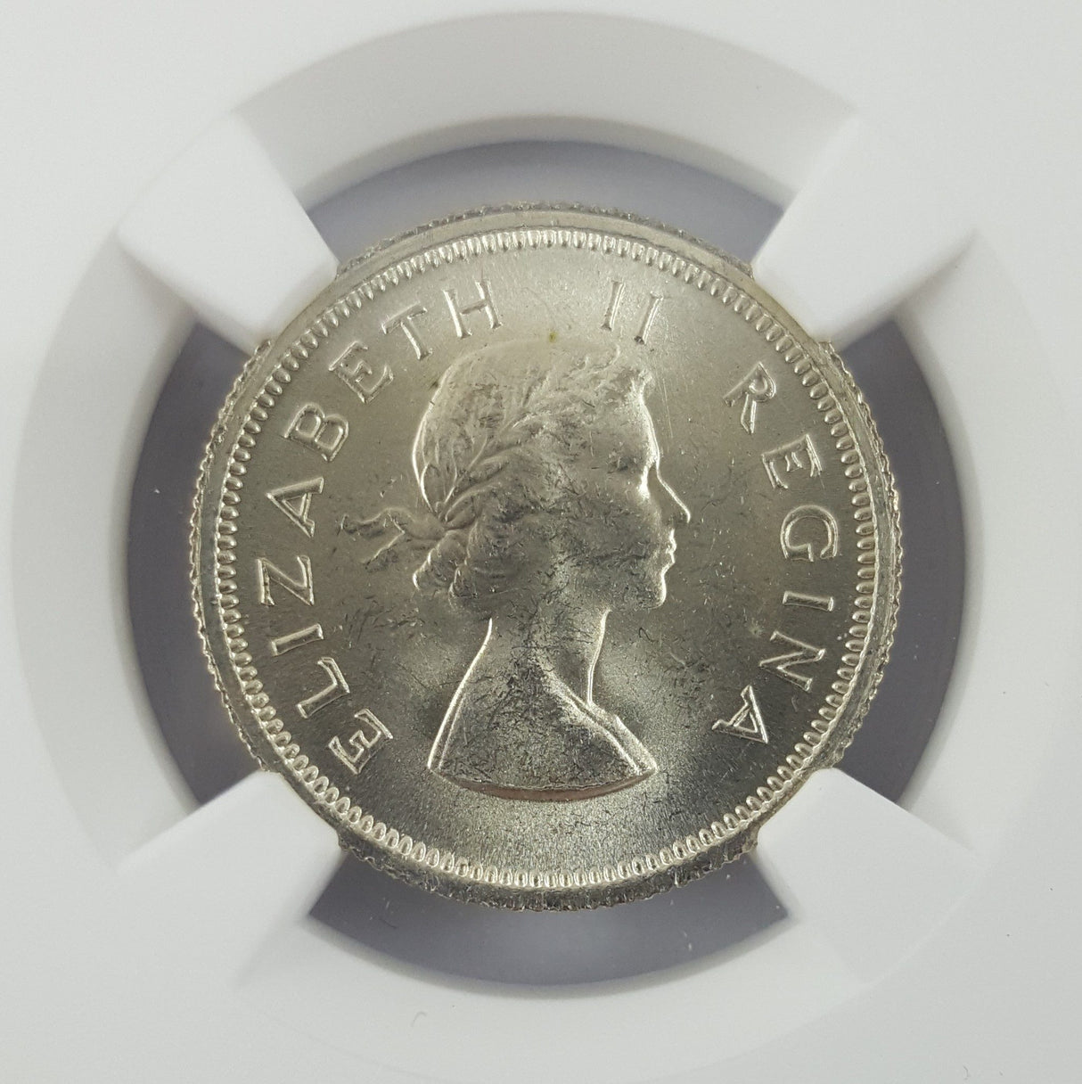 SAFRICA6P-1959NGC(BU) South Africa KM48 6 Pence - 1959 NGC BU(BU)