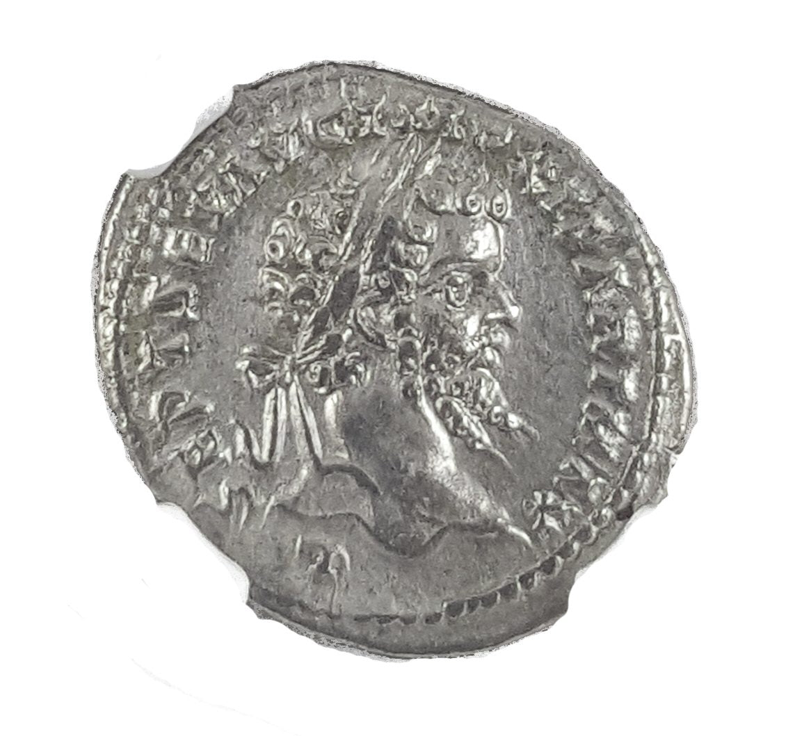 SEPTIMIUSSEV(AR)NGC(AU) Roman Silver Denarius of Septimius Severus (AD 193-211) NGC(AU)