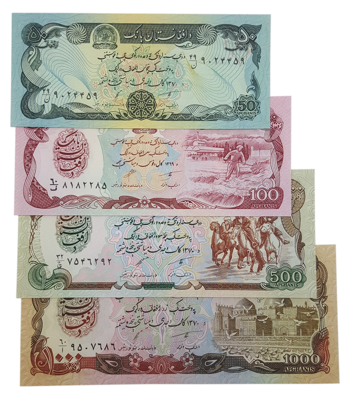 TALIBANALB Taliban: Shari'a Money of Afghanistan (4 Banknote Album)