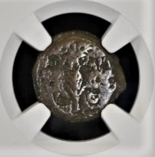 VGRATUS-NGC(LG) Valerius Gratus, Roman Prefect of Judaea Under Tiberius, 15-26 CE (NGC slab)(LG)