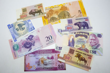 Wildlife: Eight Animal Banknotes (Billfold) (WILDLIFE-BF)