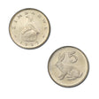 Zimbabwe KM2(U) 5 Cents (Rabbit)